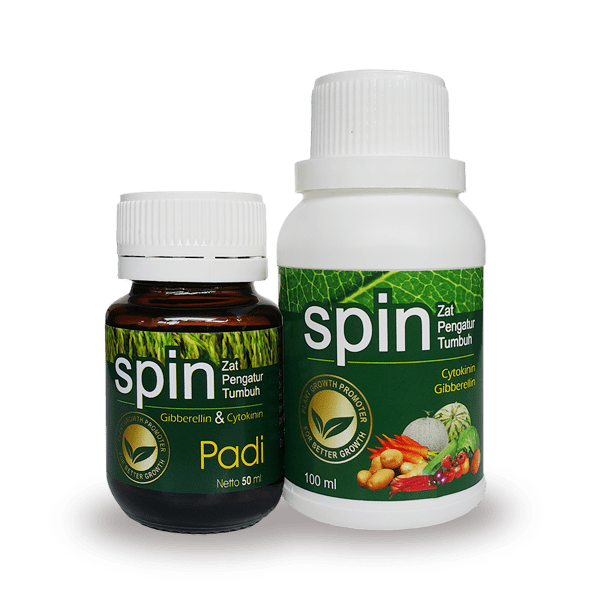 SPIN