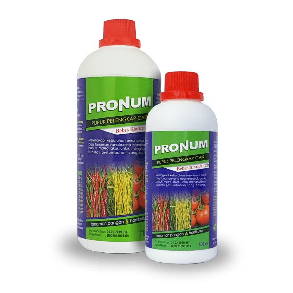 PRONUM