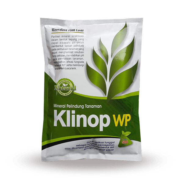 KLINOP WP