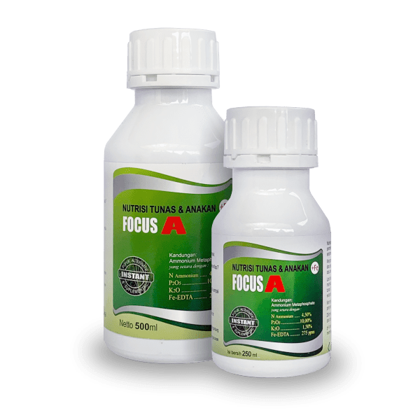 FOCUS A