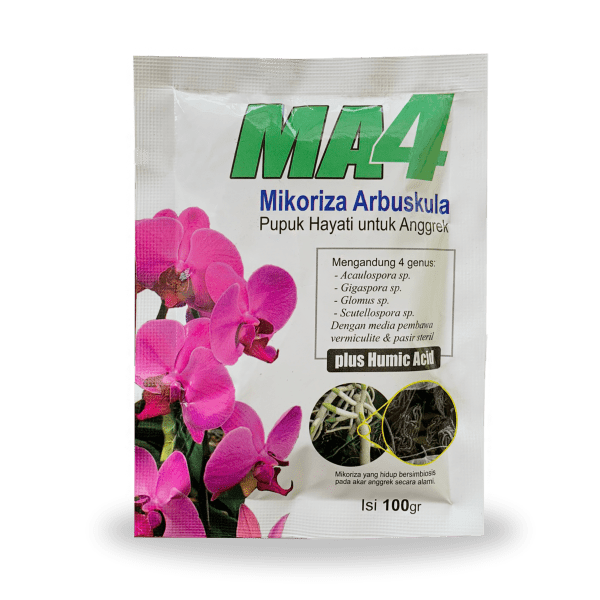 MA4