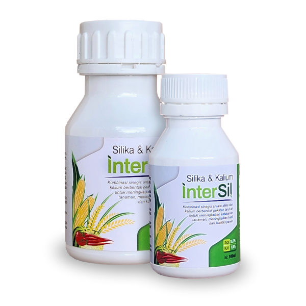 INTERSIL